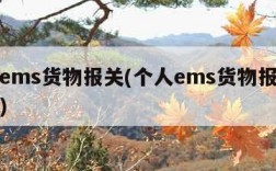 个人ems货物报关(个人ems货物报关怎么报)