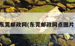 东莞邮政网(东莞邮政网点图片)