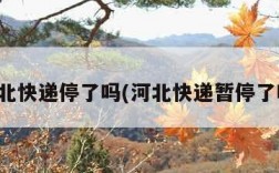 河北快递停了吗(河北快递暂停了吗)