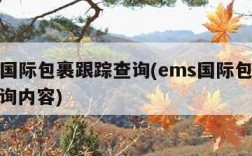 ems国际包裹跟踪查询(ems国际包裹跟踪查询内容)