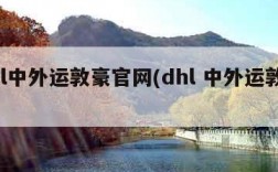 dhl中外运敦豪官网(dhl 中外运敦豪)