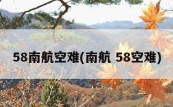 58南航空难(南航 58空难)