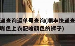 顺丰快递查询运单号查询(顺丰快递查询运单号查询咖色上衣配啥颜色的裤子)