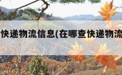 在哪查快递物流信息(在哪查快递物流信息中通)