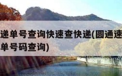 圆通速递单号查询快速查快递(圆通速快递单号查询单号码查询)