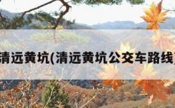 清远黄坑(清远黄坑公交车路线)