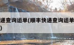 顺丰快递查询运单(顺丰快递查询运单号是什么开头)