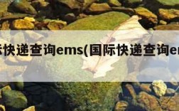 国际快递查询ems(国际快递查询ems100)