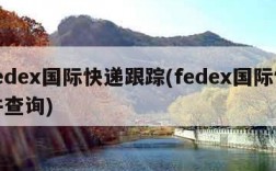 fedex国际快递跟踪(fedex国际快件查询)