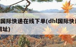 dhl国际快递在线下单(dhl国际快递下单网址)