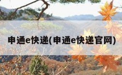 申通e快递(申通e快递官网)