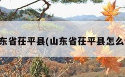 山东省茌平县(山东省茌平县怎么读)