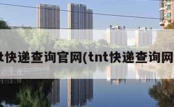 tnt快递查询官网(tnt快递查询网站)