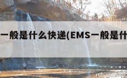 ems一般是什么快递(EMS一般是什么快递)