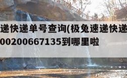 极兔速递快递单号查询(极兔速递快递单号查询jt0000200667135到哪里啦)