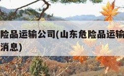 山东危险品运输公司(山东危险品运输公司转让最新消息)