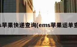 ems苹果快递查询(ems苹果运单查询)