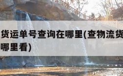 查物流货运单号查询在哪里(查物流货运单号查询在哪里看)