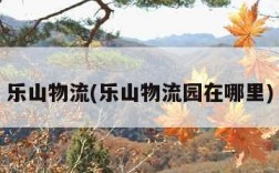 乐山物流(乐山物流园在哪里)