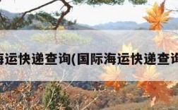 国际海运快递查询(国际海运快递查询单号)