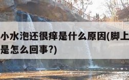 脚上起小水泡还很痒是什么原因(脚上起小水泡很痒是怎么回事?)