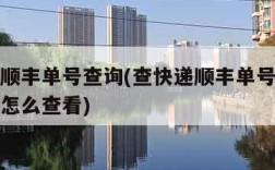 查快递顺丰单号查询(查快递顺丰单号查询实时定位怎么查看)