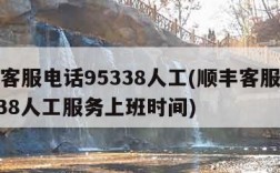 顺丰客服电话95338人工(顺丰客服电话95338人工服务上班时间)