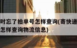 寄快递时忘了拍单号怎样查询(寄快递时忘了拍单号怎样查询物流信息)