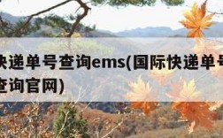 国际快递单号查询ems(国际快递单号查询跟踪查询官网)