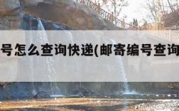 邮寄编号怎么查询快递(邮寄编号查询怎么查询)