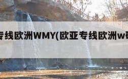 欧亚专线欧洲WMY(欧亚专线欧洲w码毛片)