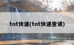 tnt快递(tnt快递查诿)