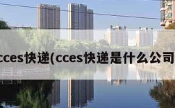 cces快递(cces快递是什么公司)