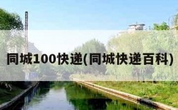 同城100快递(同城快递百科)