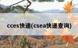 cces快递(csea快递查询)