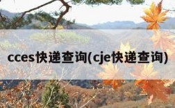 cces快递查询(cje快递查询)