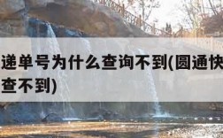 圆通速递单号为什么查询不到(圆通快递单号为什么查不到)