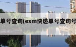 esm单号查询(esm快递单号查询号码查询)