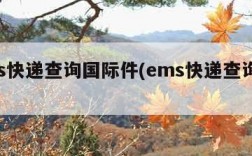 ems快递查询国际件(ems快递查询 国际)