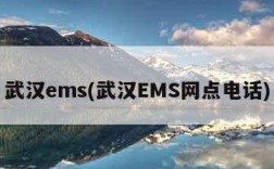 武汉ems(武汉EMS网点电话)