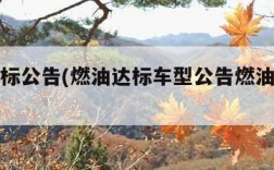 燃油达标公告(燃油达标车型公告燃油达标查询网)