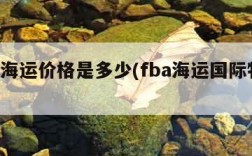 fba海运价格是多少(fba海运国际物流)