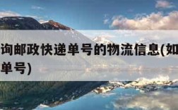 怎么查询邮政快递单号的物流信息(如何查邮政快递单号)