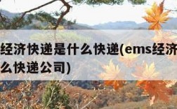 ems经济快递是什么快递(ems经济快递是什么快递公司)