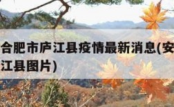 安徽省合肥市庐江县疫情最新消息(安徽省合肥市庐江县图片)