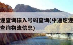 中通速递查询输入号码查询(中通速递查询输入号码查询物流信息)