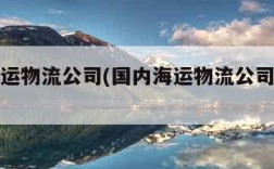 国内海运物流公司(国内海运物流公司怎么运营的)