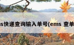 ems快递查询输入单号(ems 查单号)