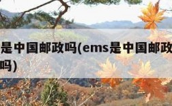 ems是中国邮政吗(ems是中国邮政快递包裹吗)