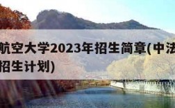 中法航空大学2023年招生简章(中法航空大学招生计划)